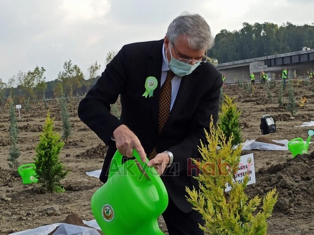 Milli Ağaçlandırma Bayramı töreni Akyazı'da yapıldı
