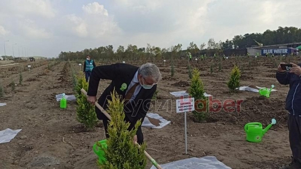 Milli Ağaçlandırma Bayramı töreni Akyazı'da yapıldı