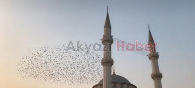 Sığırcık kuşlarından görsel şölen