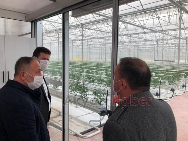 Yapay zekanın yönettiği topraksız sera Akyazı'da üretime geçti