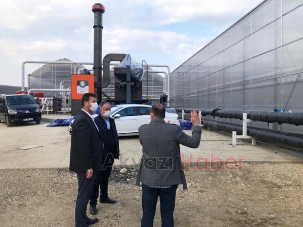 Yapay zekanın yönettiği topraksız sera Akyazı'da üretime geçti