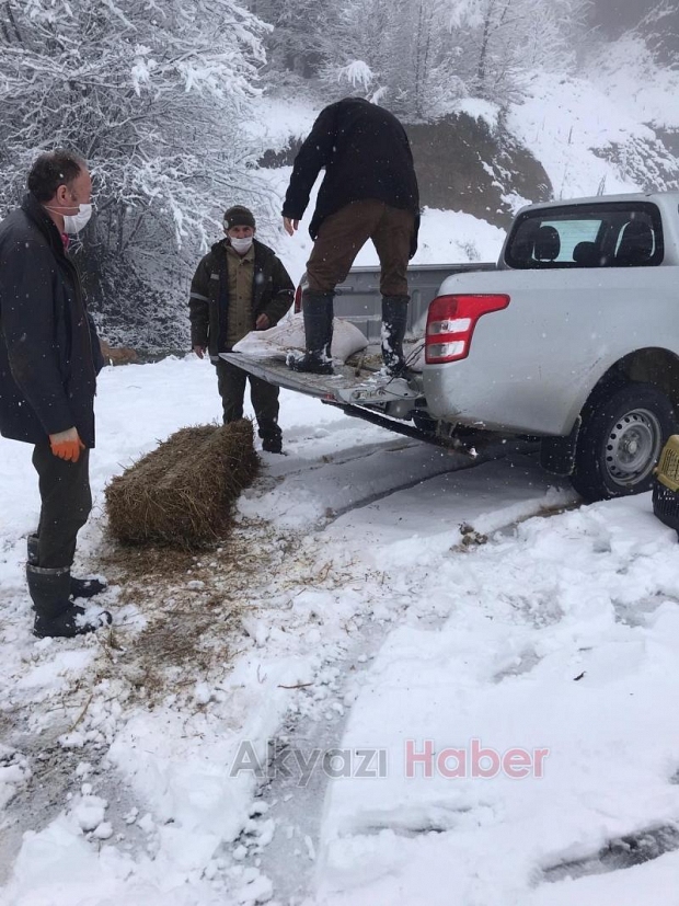 Karda aç kalmamaları için ormana yemler bırakıldı