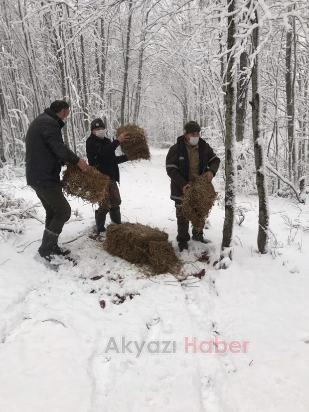 Karda aç kalmamaları için ormana yemler bırakıldı