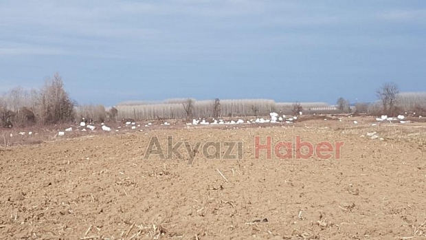 Rüzgar inşaattaki yalıtım köpüklerini uçurdu