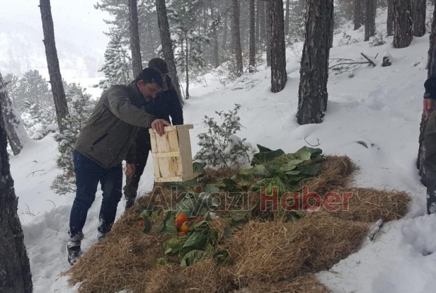 Sakarya'da yaban hayvanlarına yiyecek bırakıldı