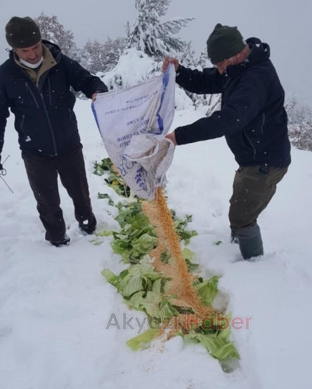 Sakarya'da yaban hayvanlarına yiyecek bırakıldı