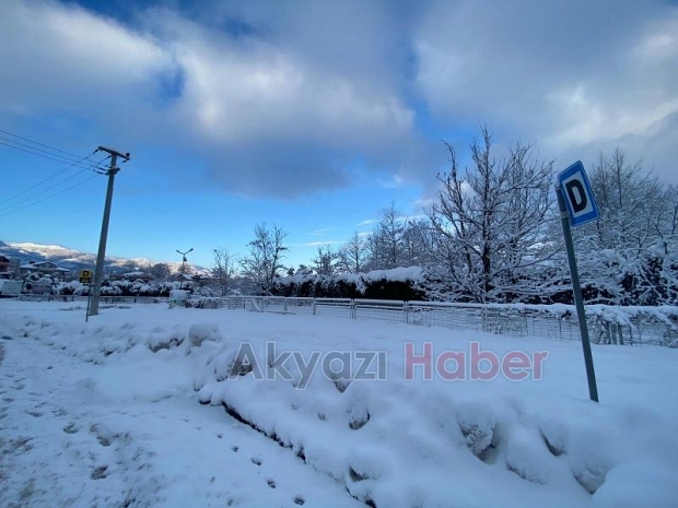 Akyazı kara doydu
