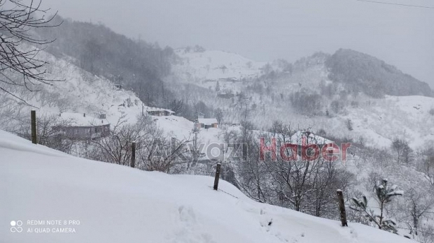 Akyazı kara doydu
