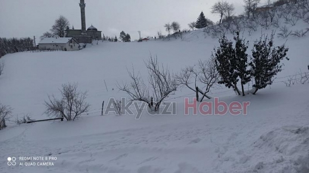 Akyazı kara doydu
