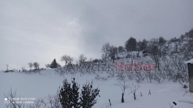Akyazı kara doydu