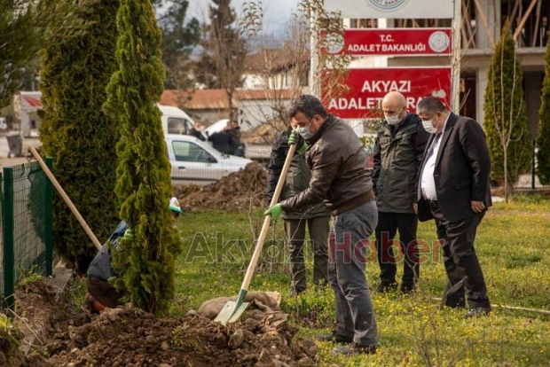 Akyazı'da hakim ve savcılar adliye bahçesine fidan dikti