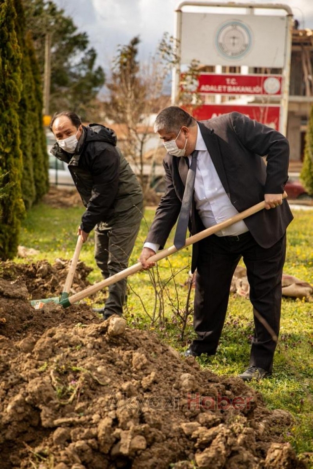 Akyazı'da hakim ve savcılar adliye bahçesine fidan dikti