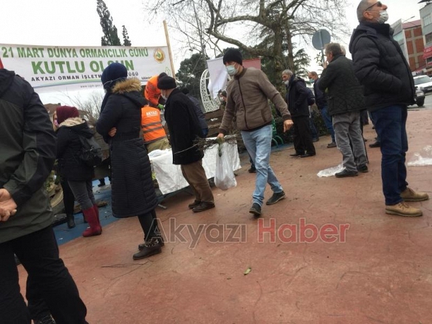 Akyazı'da vatandaşlara fidan dağıtıldı