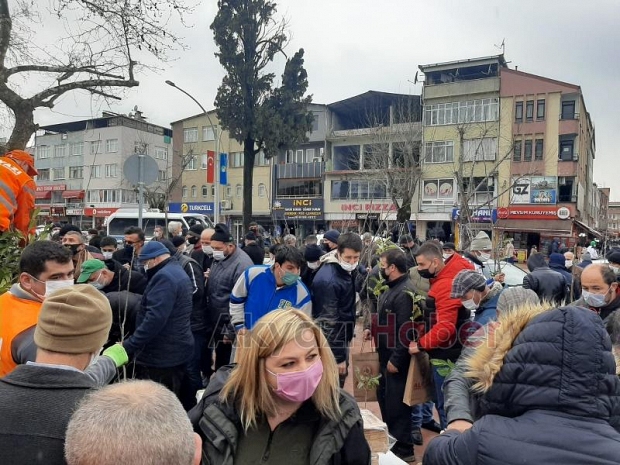 Akyazı'da vatandaşlara fidan dağıtıldı