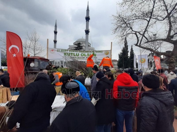 Akyazı'da vatandaşlara fidan dağıtıldı