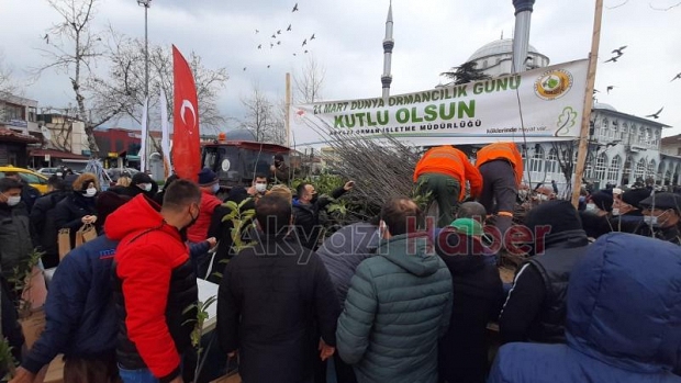 Akyazı'da vatandaşlara fidan dağıtıldı