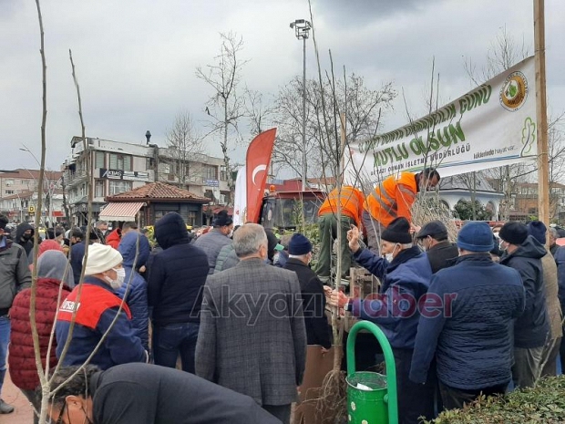 Akyazı'da vatandaşlara fidan dağıtıldı
