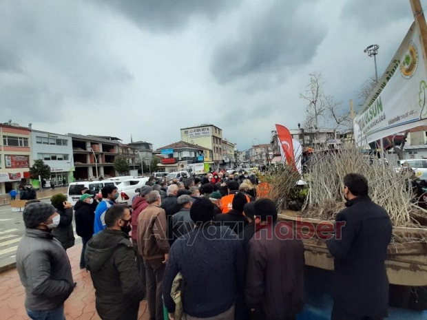 Akyazı'da vatandaşlara fidan dağıtıldı