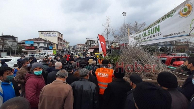 Akyazı'da vatandaşlara fidan dağıtıldı