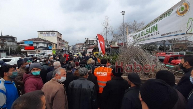 Akyazı'da vatandaşlara fidan dağıtıldı