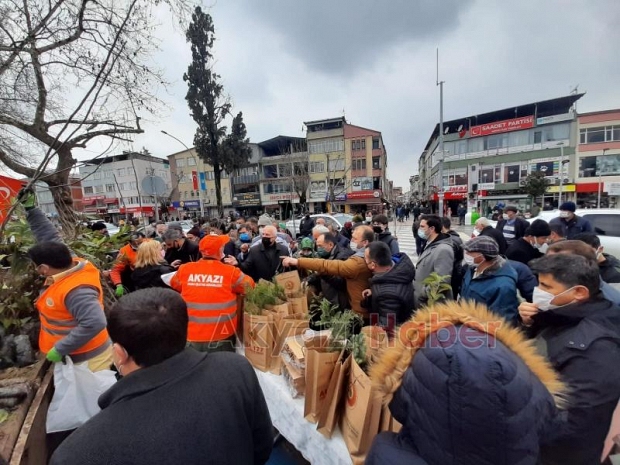 Akyazı'da vatandaşlara fidan dağıtıldı