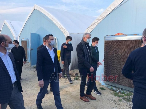 Başkan Yüce, 10 K'nın Mantar Tesisinde hasat yaptı