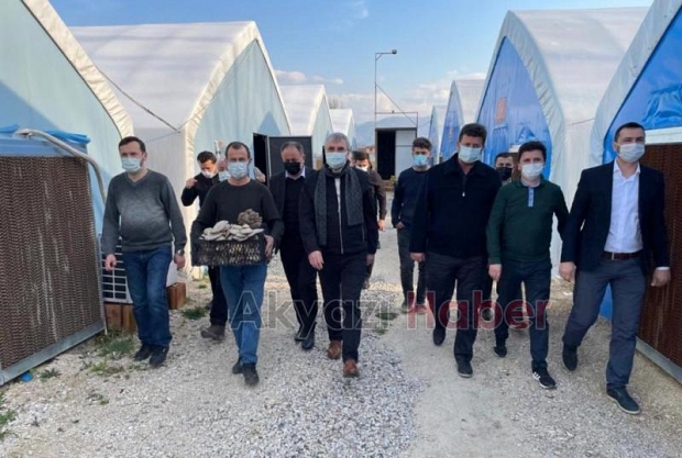 Başkan Yüce, 10 K'nın Mantar Tesisinde hasat yaptı
