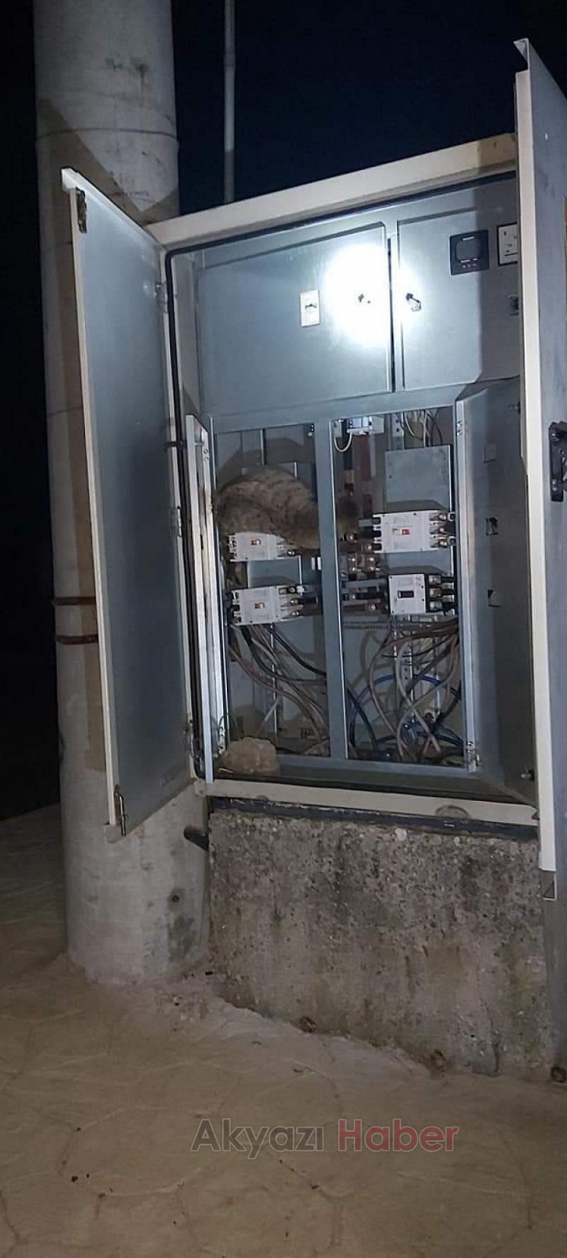 Trafoya giren kedi elektriksiz bıraktı