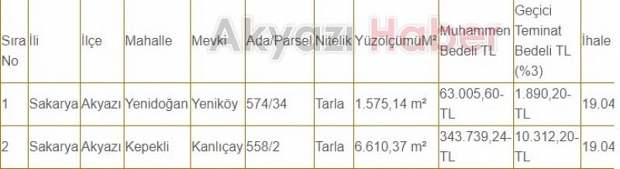 Akyazı Belediyesi'nden satılık iki tarla