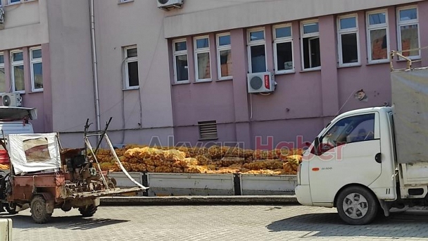 26 ton patates Akyazı'ya ulaştı, ihtiyaç sahiplerine dağıtılacak