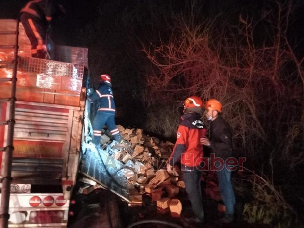 Lastiği patlayan tırın dorsesi alev aldı