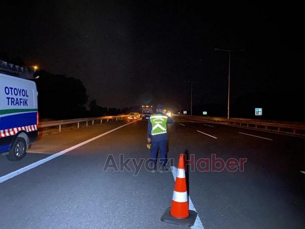 Lüks otomobil domuza çarpıp şarampole uçtu: 6 yaralı