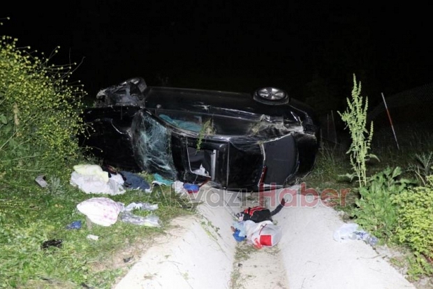Lüks otomobil domuza çarpıp şarampole uçtu: 6 yaralı