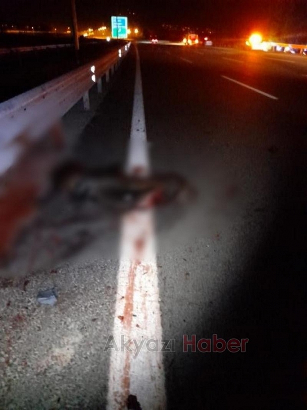 Lüks otomobil domuza çarpıp şarampole uçtu: 6 yaralı
