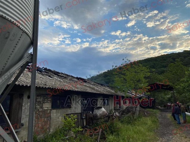 Tavuk çiftliği yandı