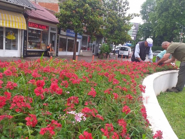 Akyazı Belediyesi Bir haftalık faaliyetlerini açıkladı