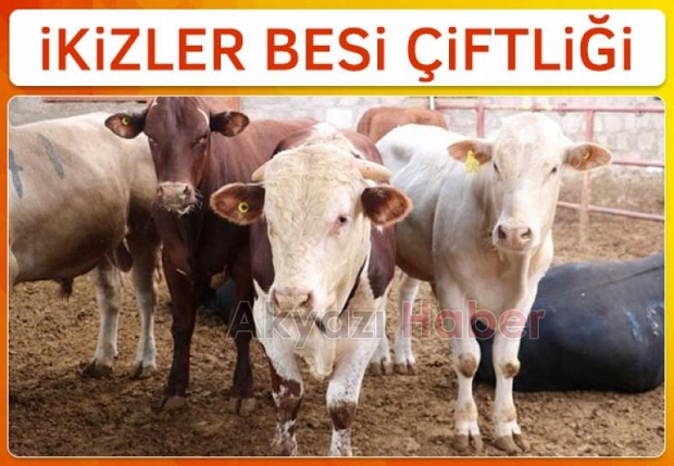 Hisse ve Kurbanlık satışları başladı