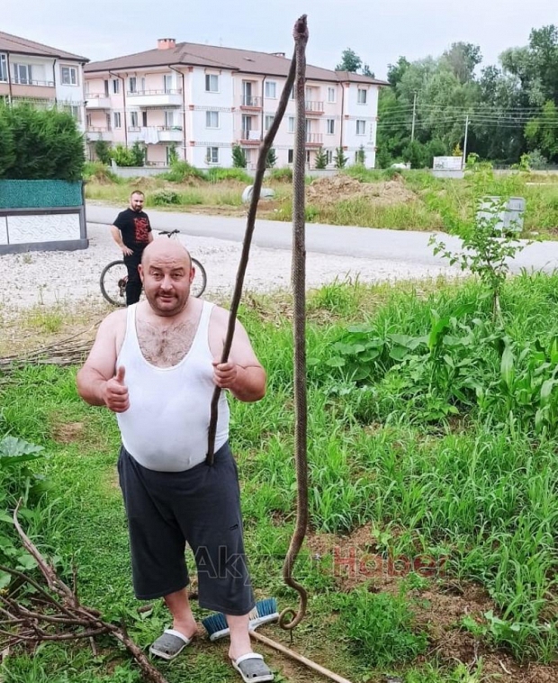 Bahçeye giren 2,5 metrelik yılan paniğe neden oldu