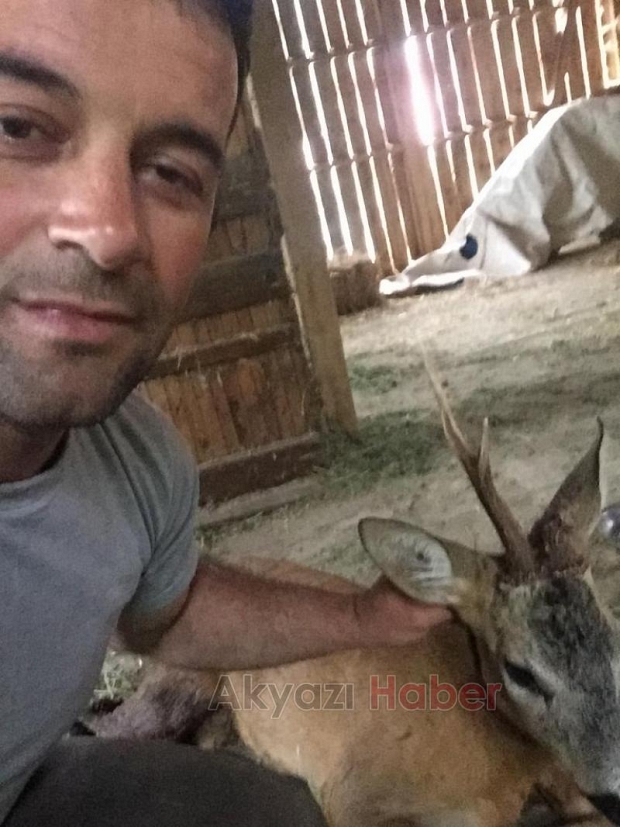 Köpeklerin saldırdığı karacayı vatandaş kurtardı
