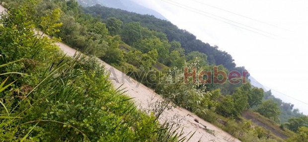 Mudurnu ağaçları söküp sürükledi