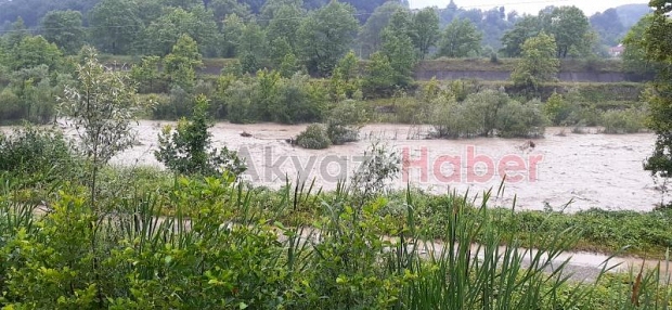 Mudurnu ağaçları söküp sürükledi
