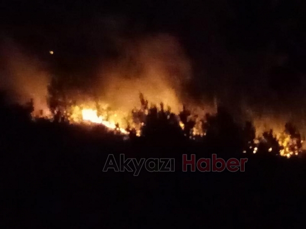 Orman yangınlarıyla mücadele için Akyazı'dan bölgeye gittiler