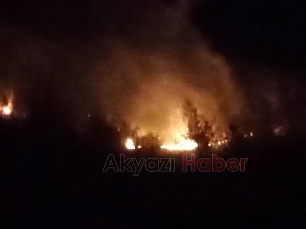 Orman yangınlarıyla mücadele için Akyazı'dan bölgeye gittiler