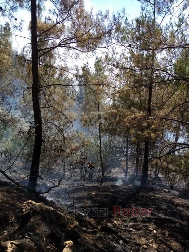 Orman yangınlarıyla mücadele için Akyazı'dan bölgeye gittiler