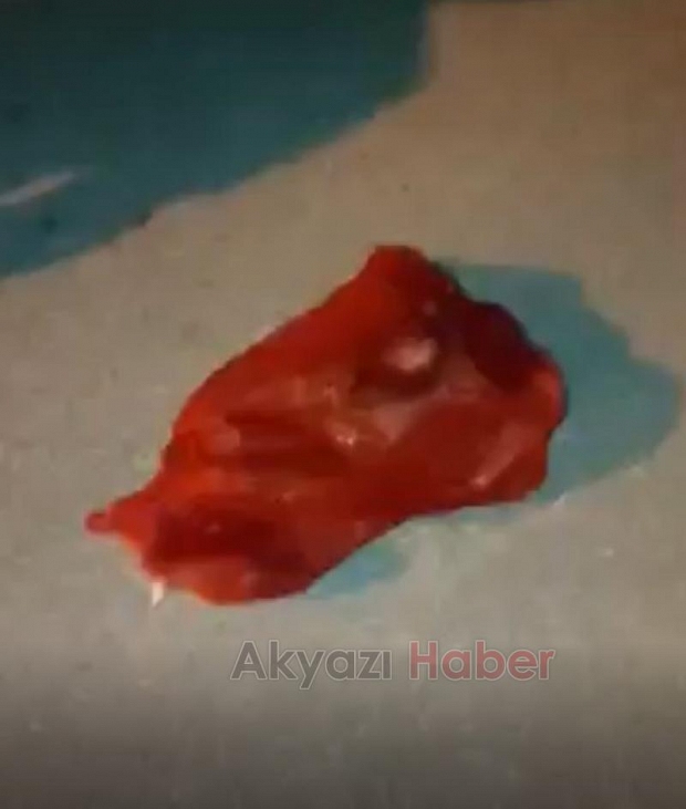 Çuvalın ağzını bağlayıp kediyi yola attılar