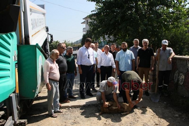Muhtar asfaltı görünce kurban kestirdi