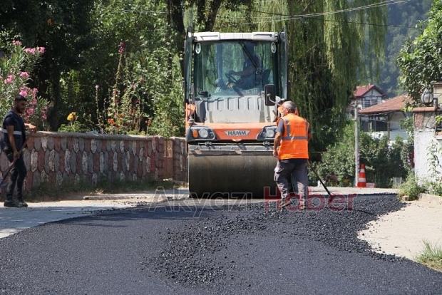 Muhtar asfaltı görünce kurban kestirdi