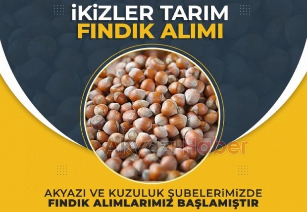 İkizler Tarım Fındık Alım Satımına başladı