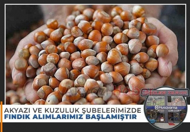 İkizler Tarım Fındık Alım Satımına başladı