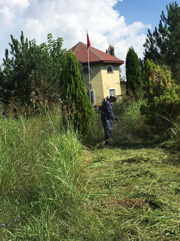 Akyazı Haber duyurmuştu duyarlı vatandaşlar temizledi